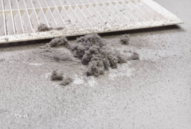 Best Professional Duct Cleaning Services  in Newton, KS